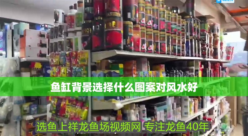 魚缸背景選擇什么圖案對(duì)風(fēng)水好