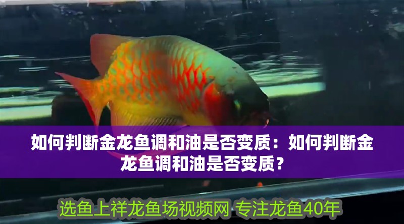 如何判斷金龍魚調(diào)和油是否變質(zhì)：如何判斷金龍魚調(diào)和油是否變質(zhì)？