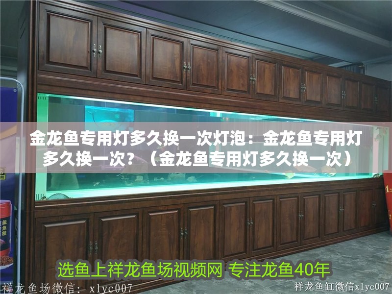 金龍魚專用燈多久換一次燈泡：金龍魚專用燈多久換一次？（金龍魚專用燈多久換一次）