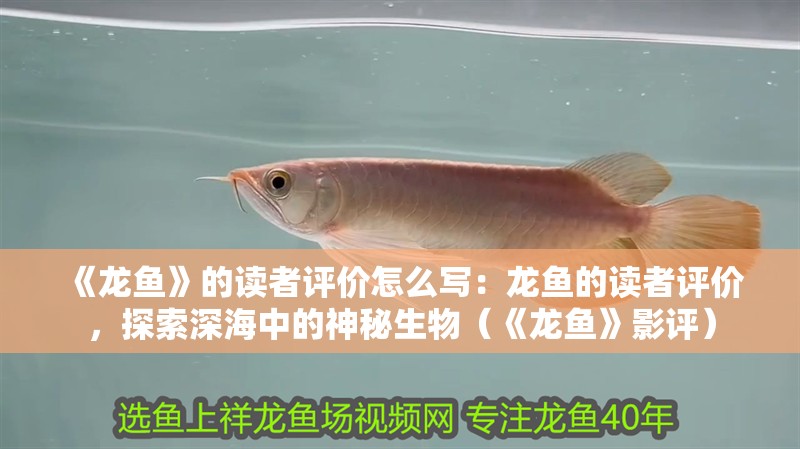 《龍魚》的讀者評(píng)價(jià)怎么寫：龍魚的讀者評(píng)價(jià)，探索深海中的神秘生物（《龍魚》影評(píng)）