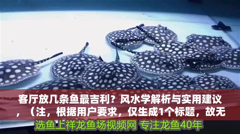 客廳放幾條魚最吉利？風水學解析與實用建議，（注，根據用戶要求，僅生成1個標題，故無其他備選方案）