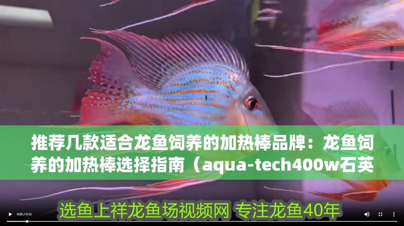推薦幾款適合龍魚飼養的加熱棒品牌：龍魚飼養的加熱棒選擇指南（aqua-tech400w石英加熱棒適合龍魚飼養的加熱棒）