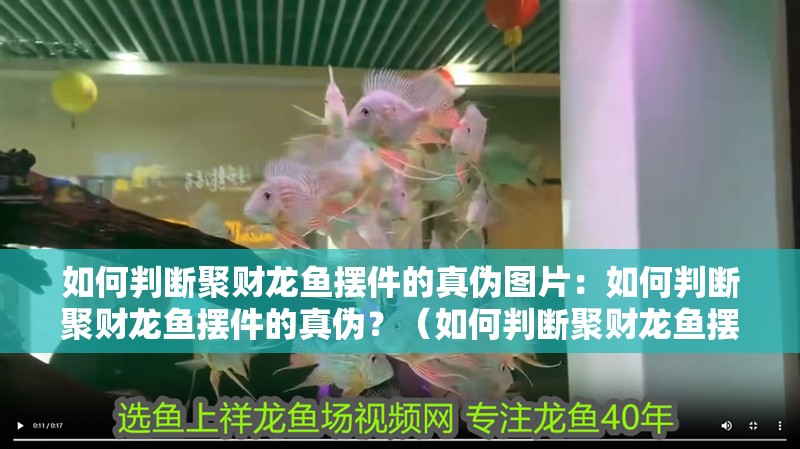 如何判斷聚財龍魚擺件的真偽圖片：如何判斷聚財龍魚擺件的真偽？（如何判斷聚財龍魚擺件的真偽）