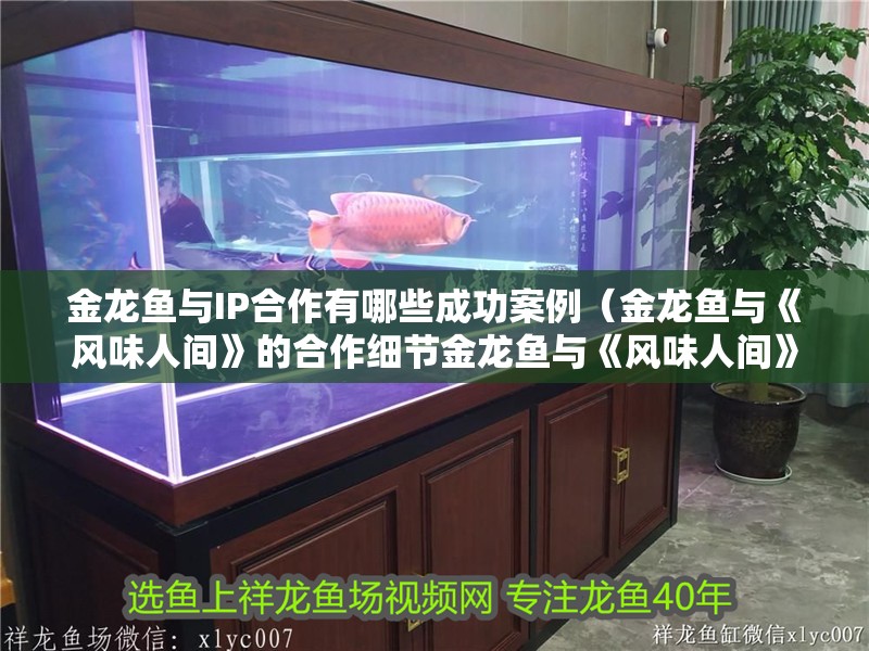 金龍魚與IP<strong><mark>合作</mark></strong>有哪些成功案例（金龍魚與《風味人間》的<strong><mark>合作</mark></strong>細節金龍魚與《風味人間》<strong><mark>合作</mark></strong>計劃）