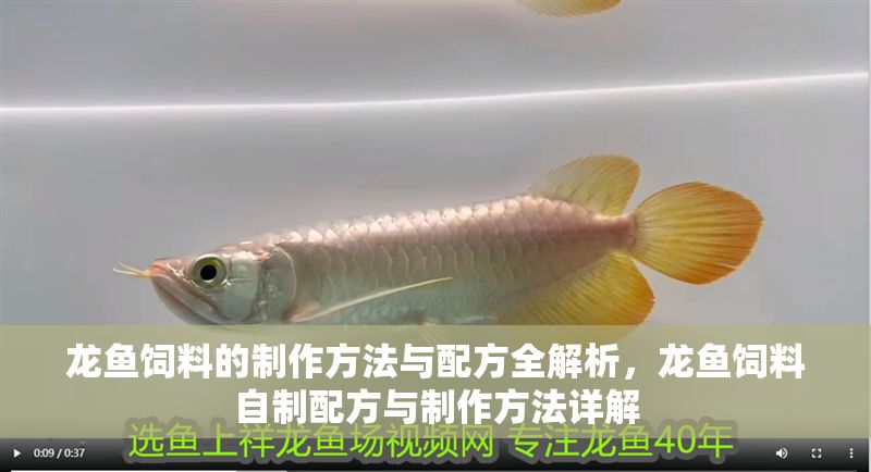 龍魚飼料的制作方法與配方全解析，龍魚飼料自制配方與制作方法詳解