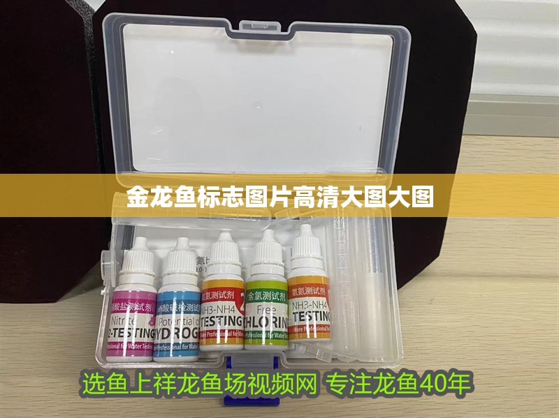 金龍魚標志圖片高清大圖大圖