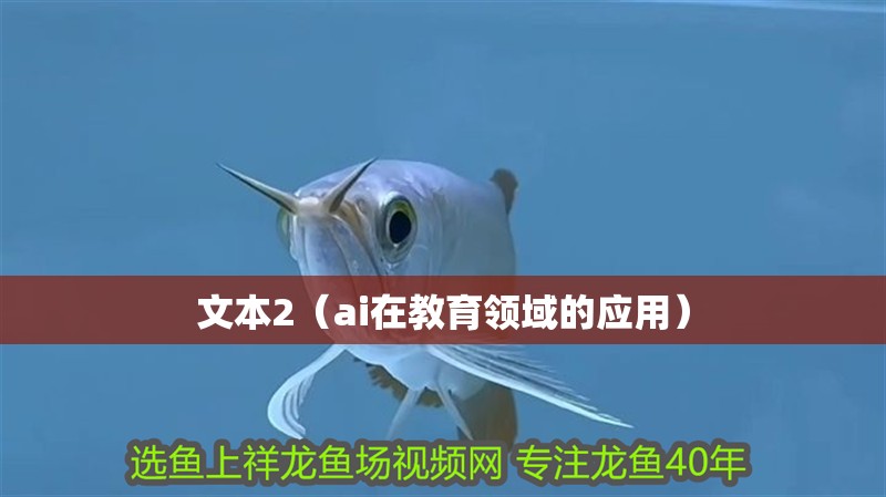 文本2（ai在教育領域的應用）