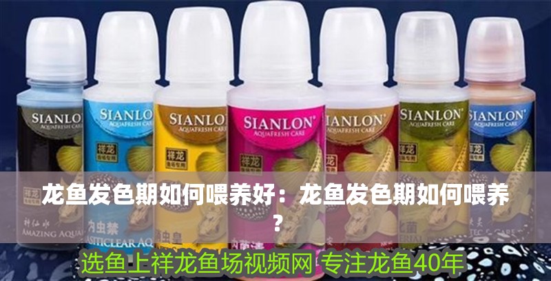 龍魚發色期如何喂養好：龍魚發色期如何喂養？