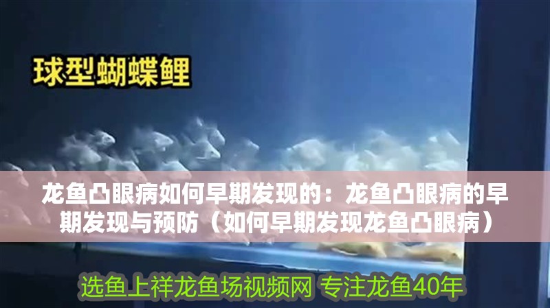 龍魚凸眼病如何早期發(fā)現(xiàn)的：龍魚凸眼病的早期發(fā)現(xiàn)與預(yù)防（如何早期發(fā)現(xiàn)龍魚凸眼病）