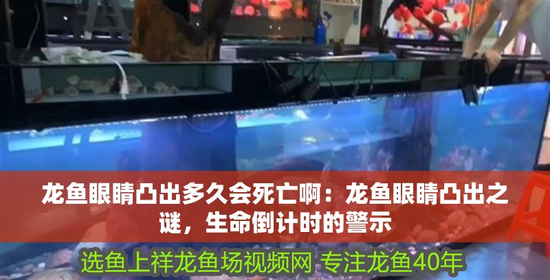 龍魚(yú)眼睛凸出多久會(huì)死亡啊：龍魚(yú)眼睛凸出之謎，生命倒計(jì)時(shí)的警示