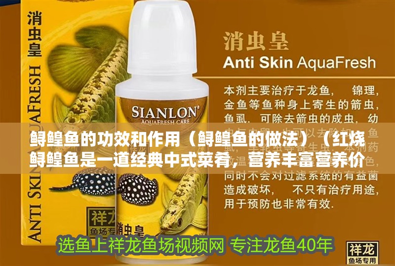 鱘鰉魚的功效和作用（鱘鰉魚的做法）（紅燒鱘鰉魚是一道經典中式菜肴，營養豐富營養價值高） 鱘鰉魚的功效和作用（鱘鰉魚的做法）（紅燒鱘鰉魚是一道經典中式菜肴，營養豐富營養價值高） 觀賞魚百科