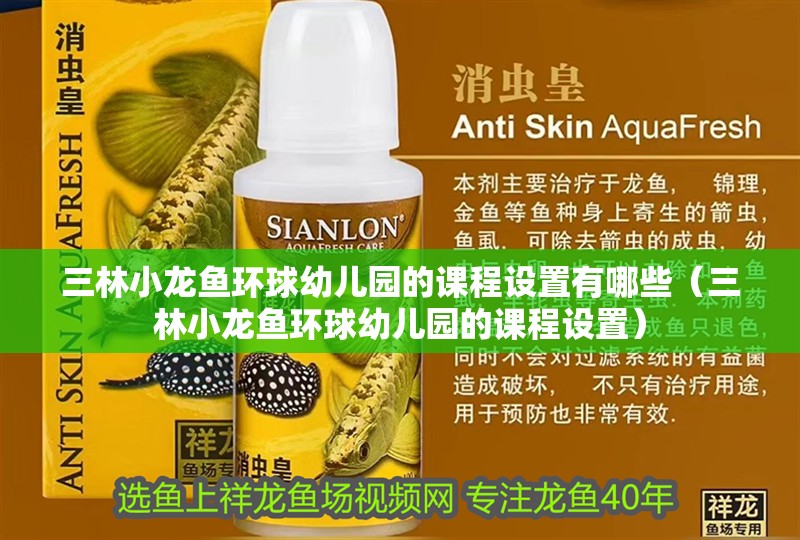 三林小龍魚環球幼兒園的課程設置有哪些（三林小龍魚環球幼兒園的課程設置）
