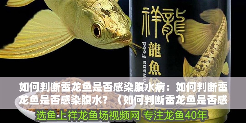 如何判斷雷龍魚是否感染腹水?。喝绾闻袛嗬堲~是否感染腹水？（如何判斷雷龍魚是否感染腹水）