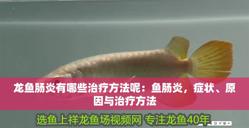 龍魚腸炎有哪些治療方法呢：魚腸炎，癥狀、原因與治療方法