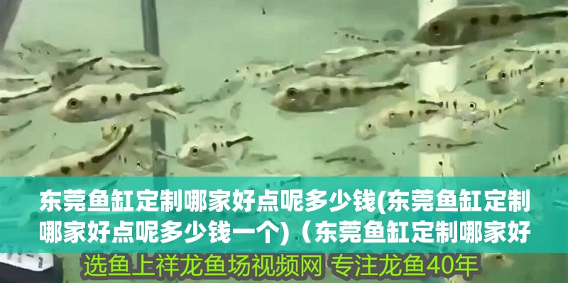 魚缸過濾器選購指南:自制魚缸過濾器魚缸上置過濾器對于養魚愛好者的必備知識 東莞魚缸定制哪家好點呢多少錢(東莞魚缸定制哪家好點呢多少錢一個)(東莞魚缸定制哪家好點) 觀賞魚百科 東莞魚缸定制哪家好點呢多少錢(東莞魚缸定制哪家好點呢多少錢一個)(東莞魚缸定制哪家好點) 東莞魚缸定制哪家好點呢多少錢(東莞魚缸定制哪家好點呢多少錢一個)(東莞魚缸定制哪家好點) 觀賞魚百科