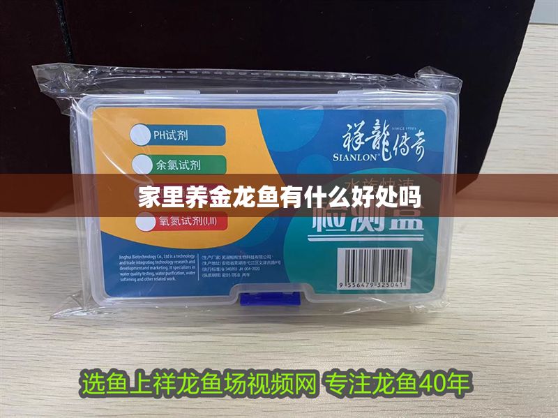 家里養金龍魚有什么好處嗎