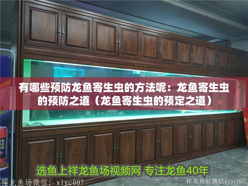 有哪些預防龍魚寄生蟲的方法呢：龍魚寄生蟲的預防之道（龍魚寄生蟲的預定之道）