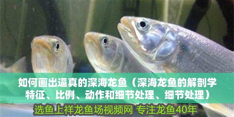 如何畫(huà)出逼真的深海龍魚(yú)（深海龍魚(yú)的解剖學(xué)特征、比例、動(dòng)作和細(xì)節(jié)處理、細(xì)節(jié)處理）