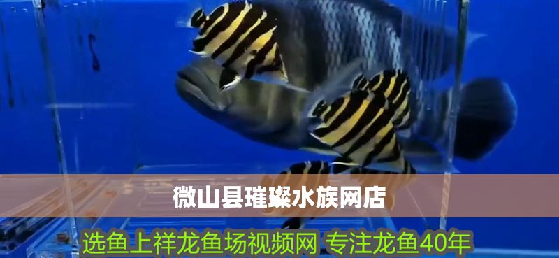 微山縣璀璨水族網店