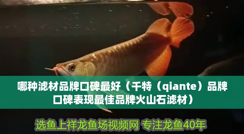 哪種濾材品牌口碑最好（千特（qiante）品牌口碑表現最佳品牌火山石濾材）