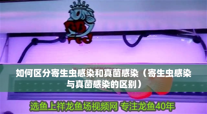 如何區分寄生蟲感染和真菌感染（寄生蟲感染與真菌感染的區別）