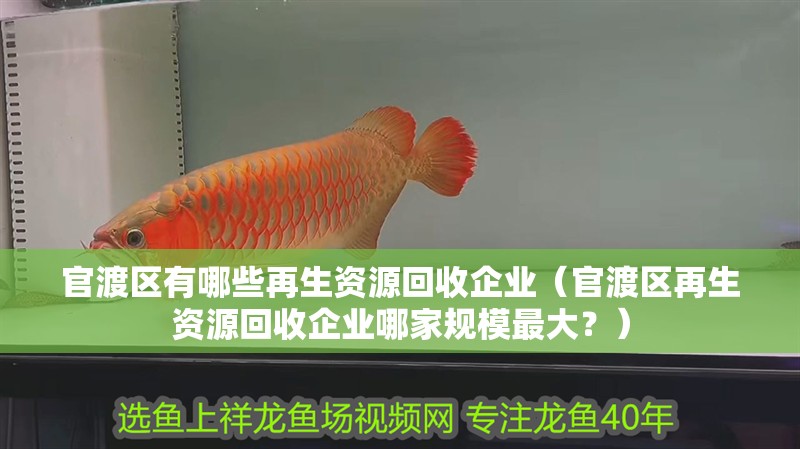 <strong><mark>官渡</mark></strong>區有哪些再生資源回收企業（<strong><mark>官渡</mark></strong>區再生資源回收企業哪家規模最大？）