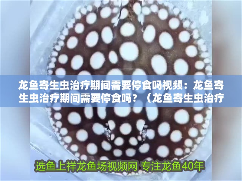 龍魚寄生蟲治療期間需要停食嗎視頻：龍魚寄生蟲治療期間需要停食嗎？（龍魚寄生蟲治療期間是否需要停食）