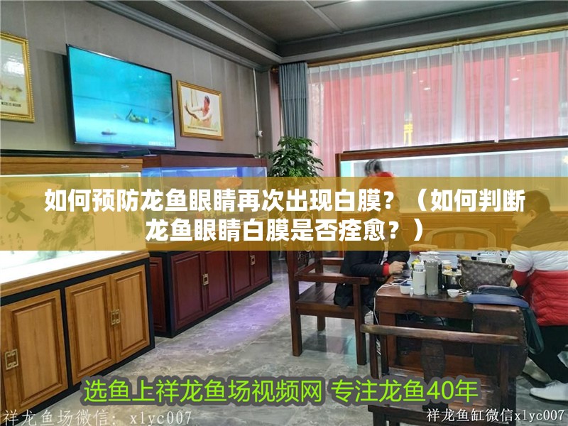 如何預防龍魚眼睛再次出現白膜？（如何判斷龍魚眼睛白膜是否痊愈？）