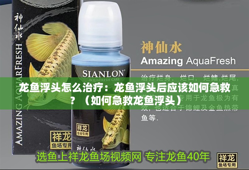 龍魚浮頭怎么治療：龍魚浮頭后應該如何急救？（如何急救龍魚浮頭）