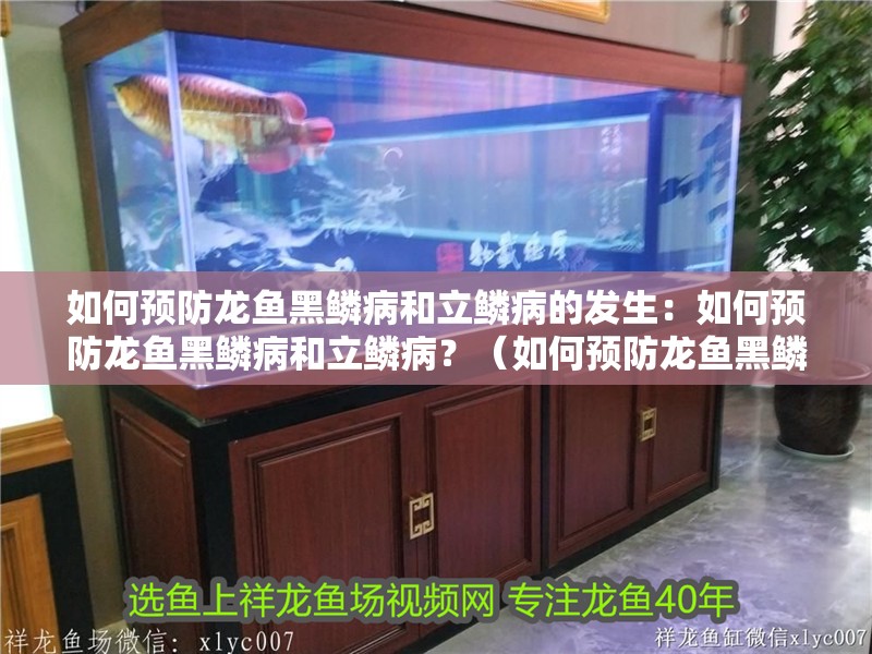 如何預防龍魚黑鱗病和立鱗病的發生：如何預防龍魚黑鱗病和立鱗病？（如何預防龍魚黑鱗病和立鱗病）