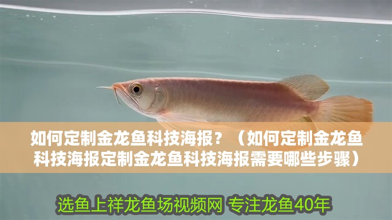 如何定制金龍魚科技海報？（如何定制金龍魚科技海報定制金龍魚科技海報需要哪些步驟）