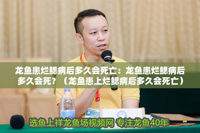 龍魚患爛鰓病后多久會死亡：龍魚患爛鰓病后多久會死？（龍魚患上爛鰓病后多久會死亡）