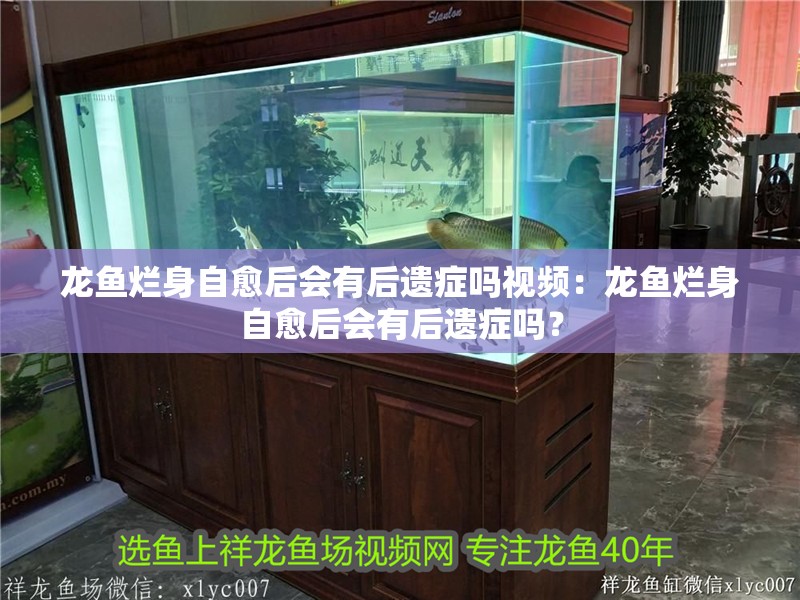 龍魚爛身自愈后會有后遺癥嗎視頻：龍魚爛身自愈后會有后遺癥嗎？