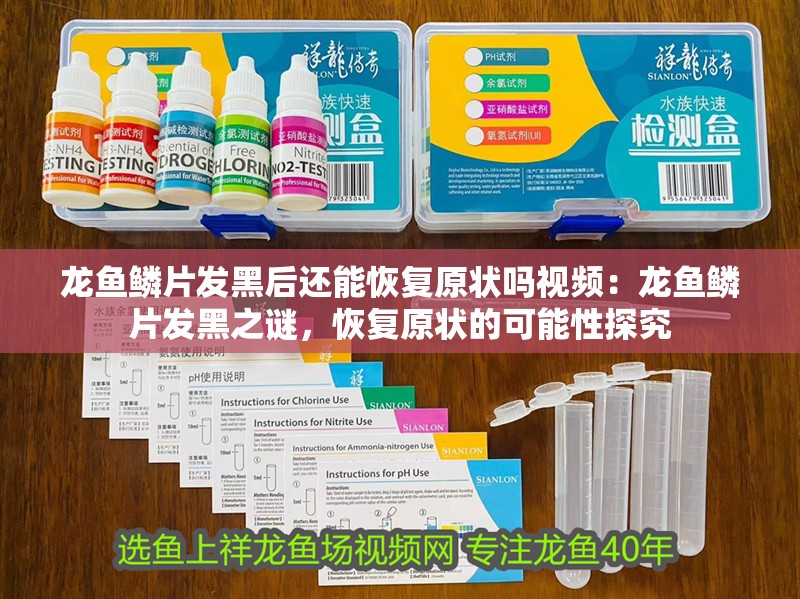 龍魚鱗片發(fā)黑后還能恢復(fù)原狀嗎視頻：龍魚鱗片發(fā)黑之謎，恢復(fù)原狀的可能性探究