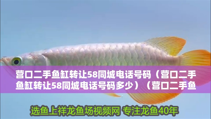 營口二手魚缸轉讓58同城電話號碼（營口二手魚缸轉讓58同城電話號碼多少）（營口二手魚缸轉讓58同城電話號碼多少）