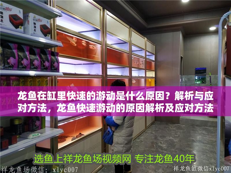 龍魚在缸里快速的游動(dòng)是什么原因？解析與應(yīng)對(duì)方法，龍魚快速游動(dòng)的原因解析及應(yīng)對(duì)方法