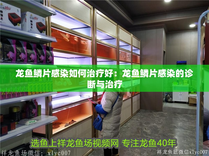 龍魚鱗片感染如何治療好：龍魚鱗片感染的診斷與治療 龍魚鱗片感染如何治療好：龍魚鱗片感染的診斷與治療 水族問答