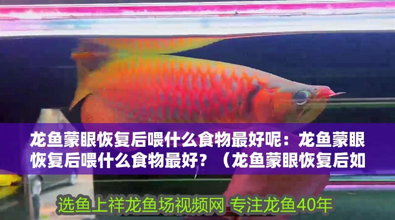 龍魚蒙眼恢復后喂什么食物最好呢：龍魚蒙眼恢復后喂什么食物最好？（龍魚蒙眼恢復后如何喂養）