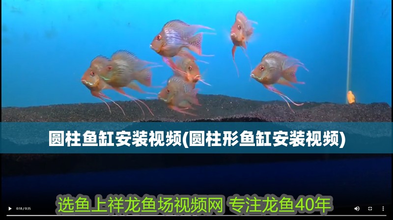 圓柱魚缸安裝視頻(圓柱形魚缸安裝視頻)