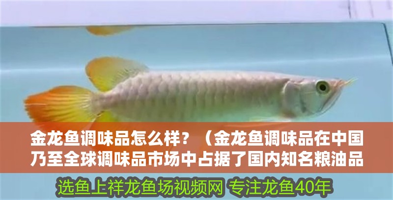 金龍魚調味品怎么樣？（金龍魚調味品在中國乃至全球調味品市場中占據了國內知名糧油品牌）