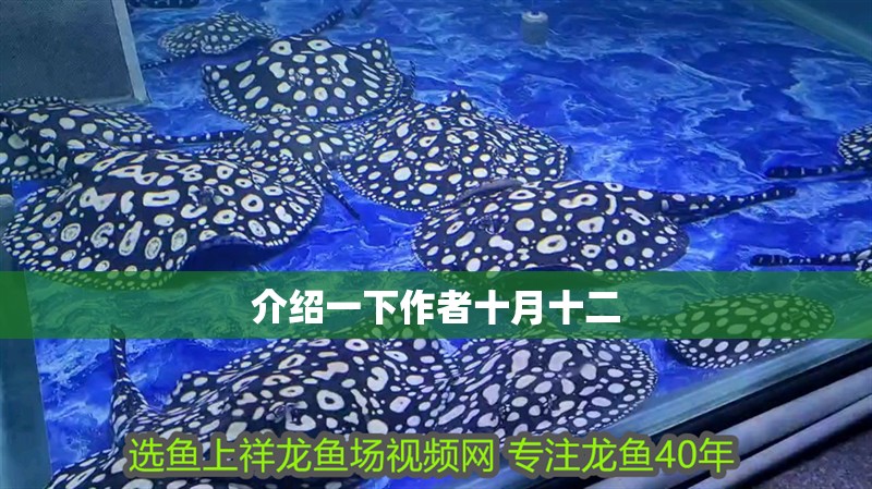 介紹一下作者十月十二