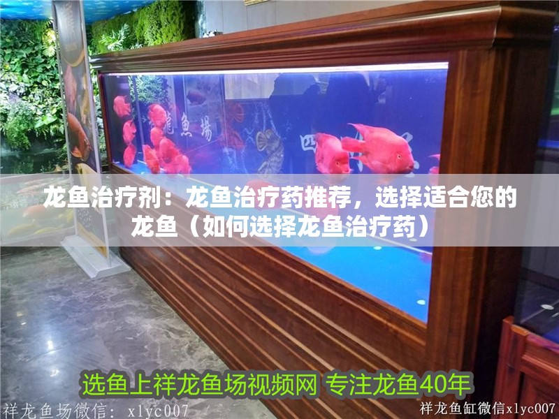 龍魚治療劑：龍魚治療藥推薦，選擇適合您的龍魚（如何選擇龍魚治療藥）