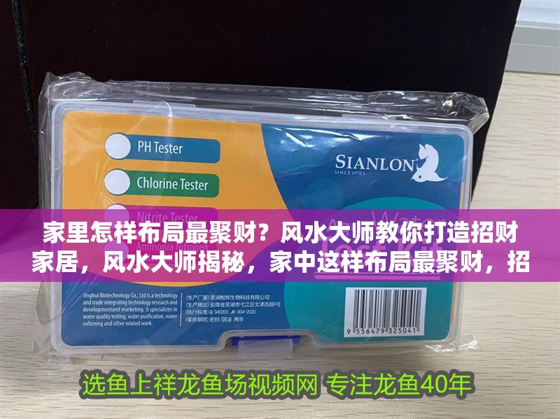 家里怎樣布局最聚財？風水大師教你打造招財家居，風水大師揭秘，家中這樣布局最聚財，招財家居打造指南