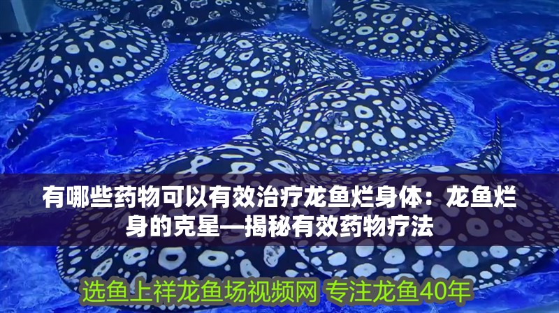 有哪些藥物可以有效治療龍魚爛身體：龍魚爛身的克星—揭秘有效藥物療法