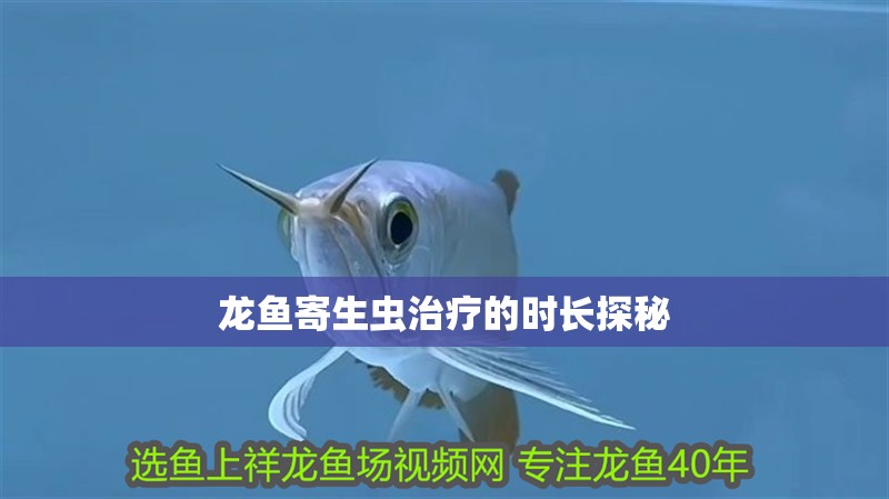 龍魚寄生蟲治療的時長探秘