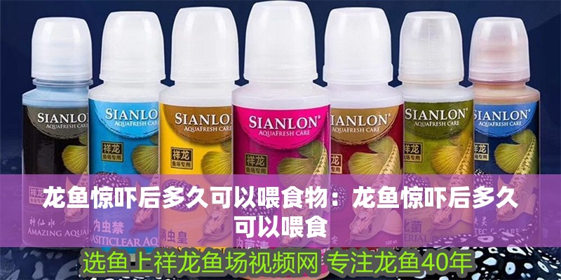 龍魚驚嚇后多久可以喂食物：龍魚驚嚇后多久可以喂食