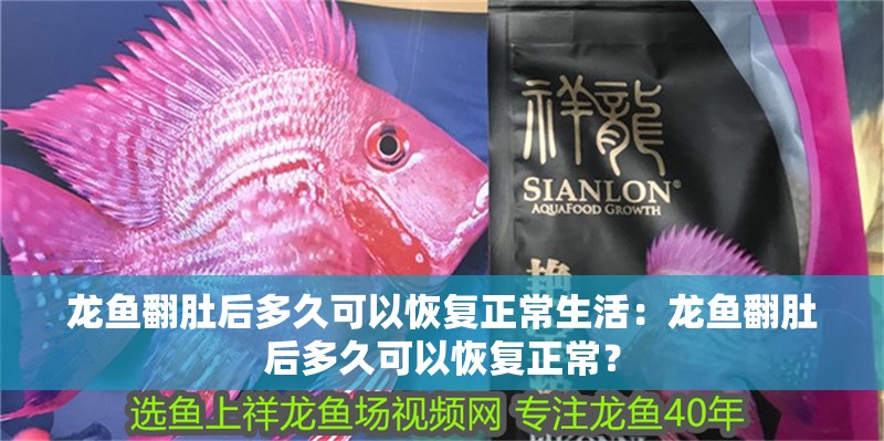 龍魚翻肚后多久可以恢復正常生活：龍魚翻肚后多久可以恢復正常？