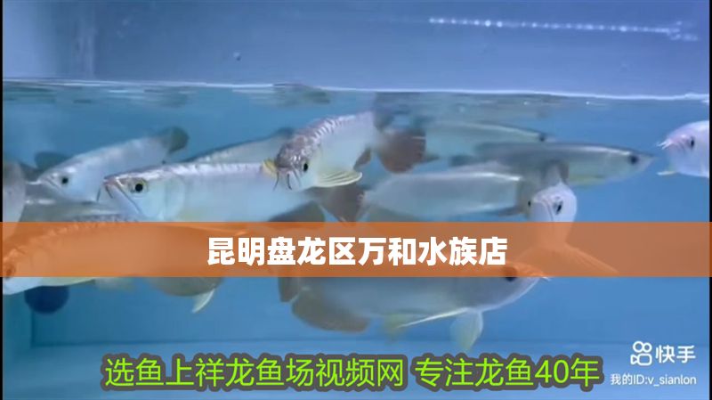 昆明盤龍區萬和水族店