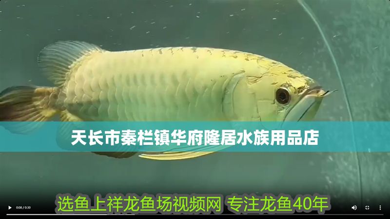 天長市秦欄鎮華府隆居水族用品店