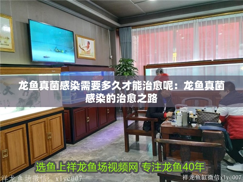 龍魚真菌感染需要多久才能治愈呢：龍魚真菌感染的治愈之路